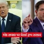 trump8
