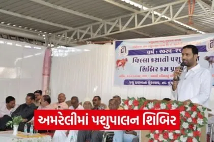 Amreli District Animal Husbandry Camp 2026 1