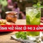 Holi Detox Drinks