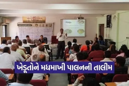 Gandhinagar Beekeeping Training Farmers 1