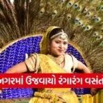 Gandhinagar Vasantotsav Cultural Festival 1