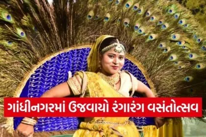 Gandhinagar Vasantotsav Cultural Festival 1