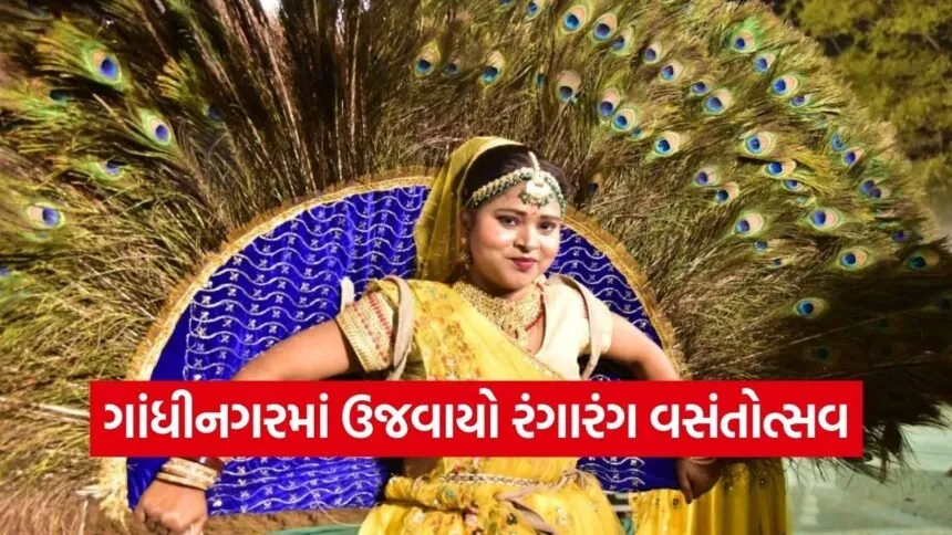 Gandhinagar Vasantotsav Cultural Festival 1