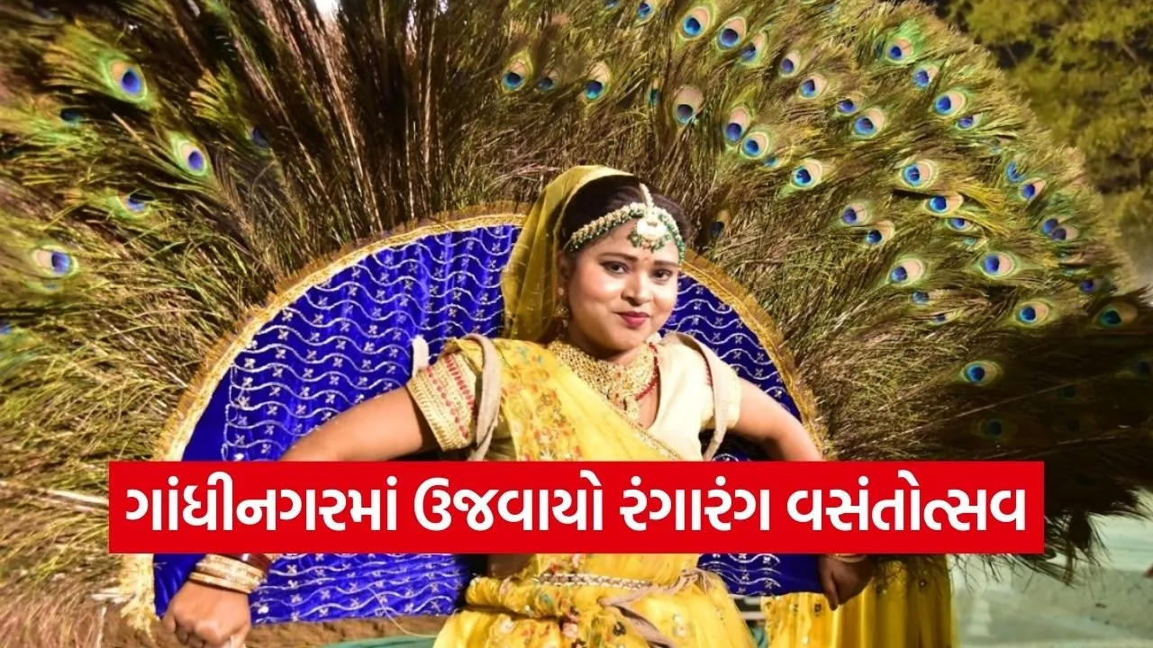 Gandhinagar Vasantotsav Cultural Festival 1.jpg