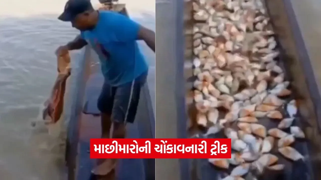 video.jpg