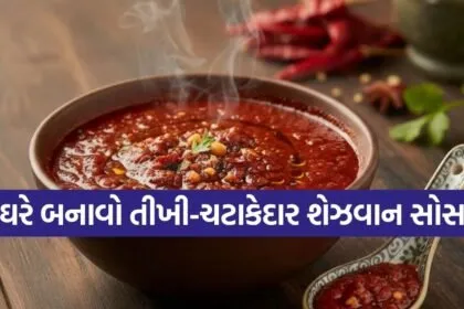 Schezwan Sauce