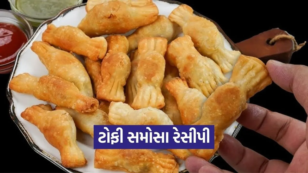 dharmishtha 1 93.jpg