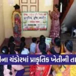 Vapi Chandor Natural Farming Training