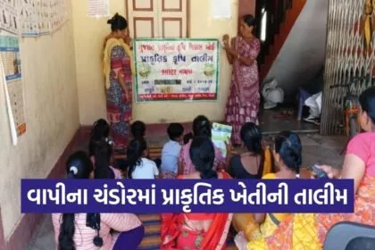 Vapi Chandor Natural Farming Training