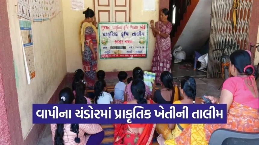 Vapi Chandor Natural Farming Training