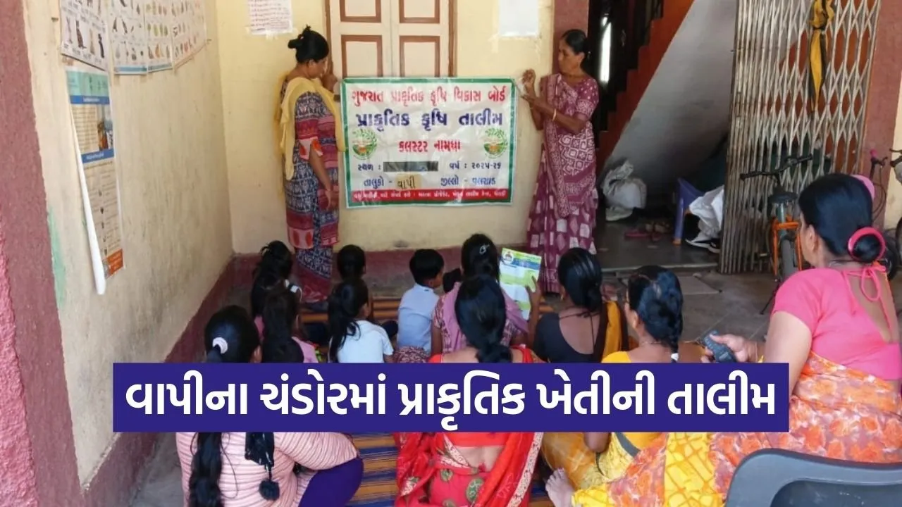Vapi Chandor Natural Farming Training.jpg