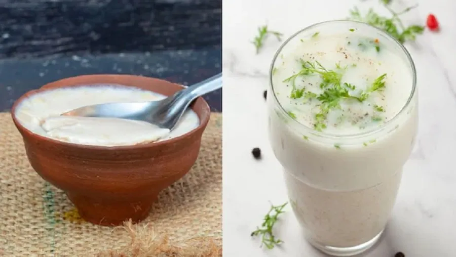 દહીં vs છાસ: પાચન અને ગટ હેલ્થ માટે બંનેમાંથી સૌથી વધુ ફાયદાકારક શું? 3 chash.jpg