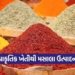 natural spices farming profit india 1