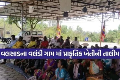Dharmishtha 20260305 200653 0000