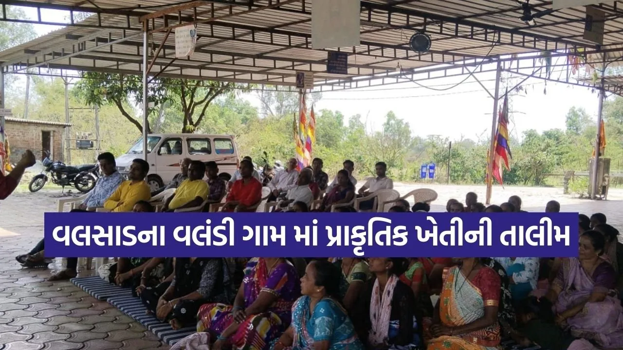 Dharmishtha 20260305 200653 0000.jpg