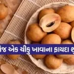 chikoo 0603