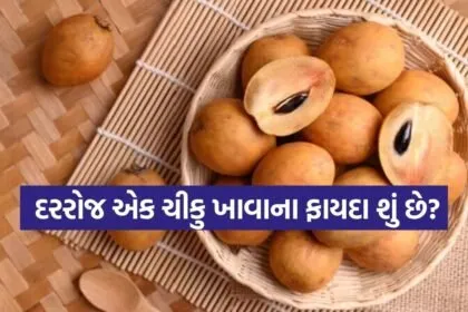 chikoo 0603