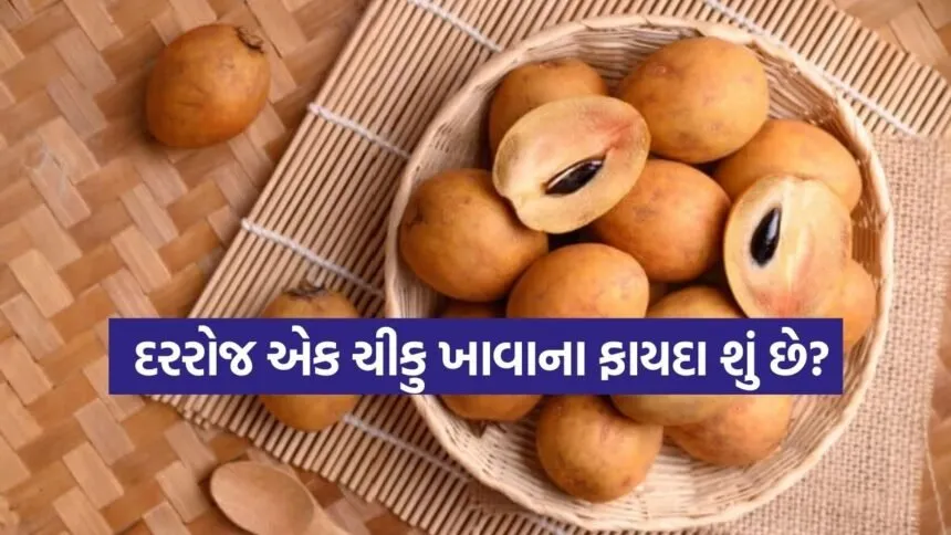chikoo 0603