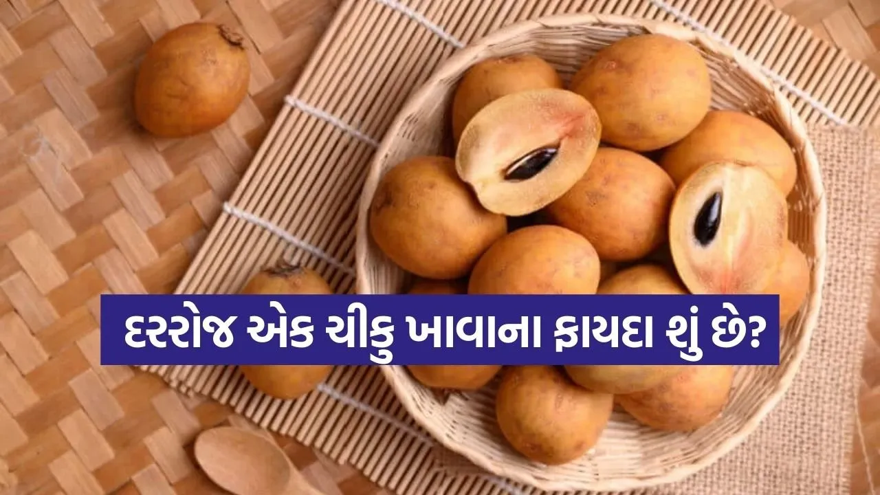 chikoo 0603.jpg