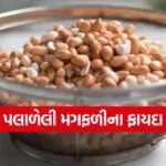 Peanut 0603