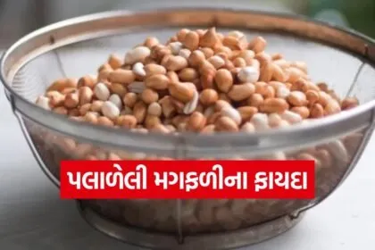 Peanut 0603