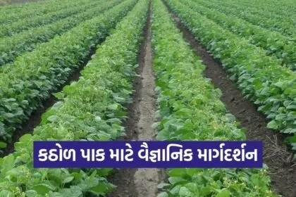 Dantiwada Agricultural University Summer Pulse Crop Pest Control Guide 1