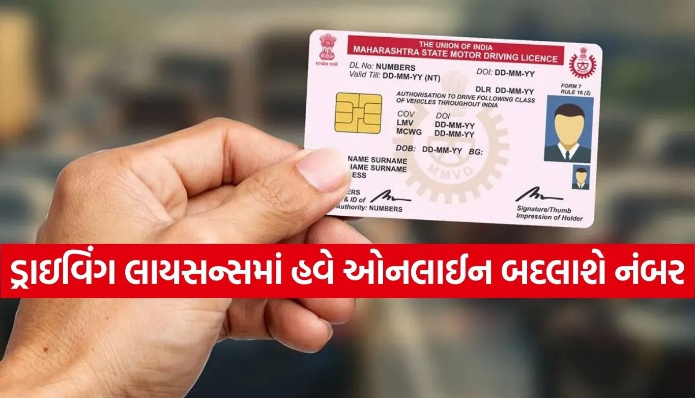 driving licence
