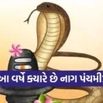 Nag Panchami 2026