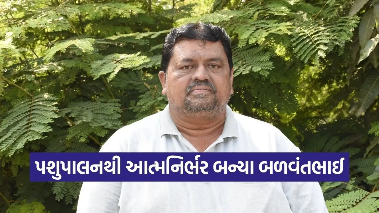 Bardoli Kanai Village Dairy Farmer Success 1.jpg