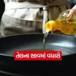 INDIA 1 2026 03 06T125220.658