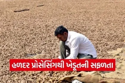 Vadodara Smart Farmer Turmeric Value Addition 1