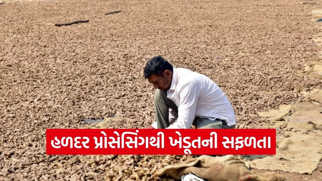 Vadodara Smart Farmer Turmeric Value Addition 1.jpg