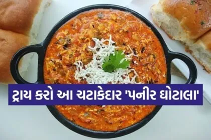 Paneer Ghotala