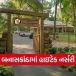 Banaskantha HiTech Nursery Green Cover Project