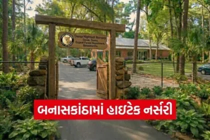 Banaskantha HiTech Nursery Green Cover Project
