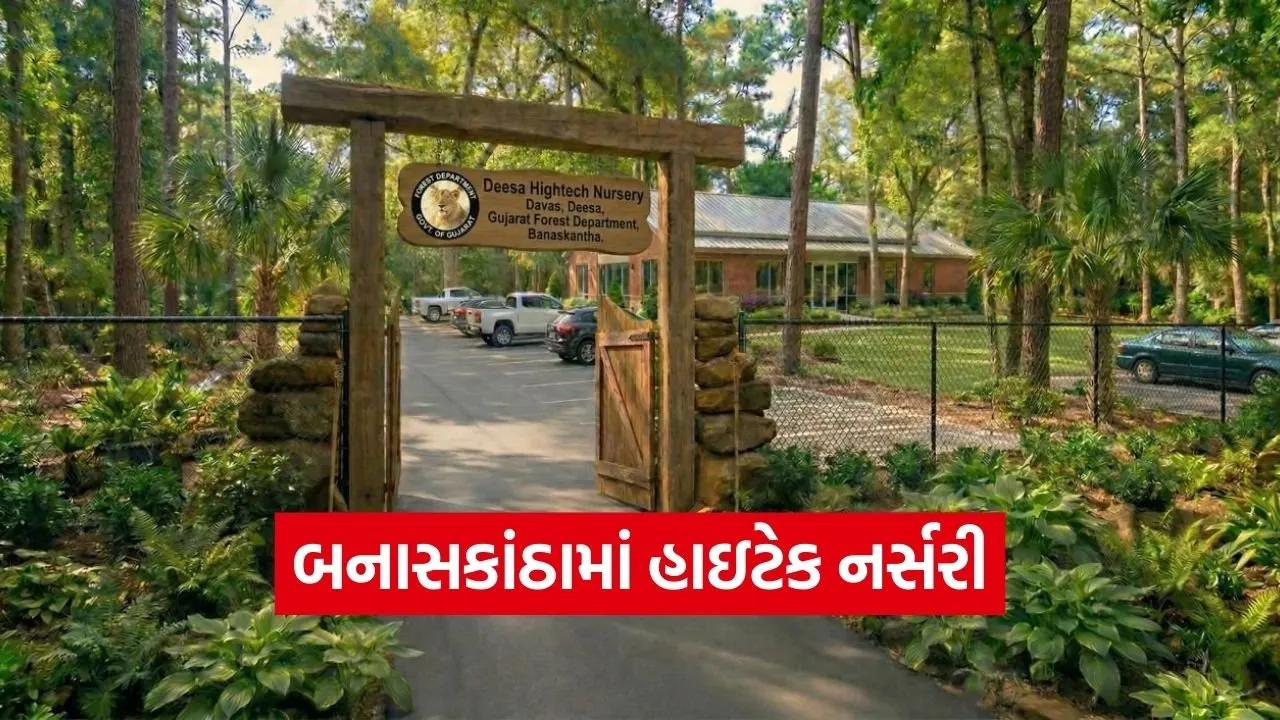 Banaskantha HiTech Nursery Green Cover Project.jpg
