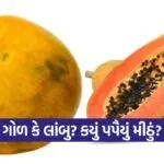 dharmishtha 1 2026 03 06T154114.407