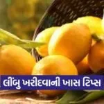 dharmishtha 1 2026 03 06T154705.319