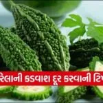 dharmishtha 1 2026 03 06T160538.464