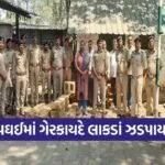 Waghai Illegal Teak Wood Seizure