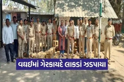 Waghai Illegal Teak Wood Seizure