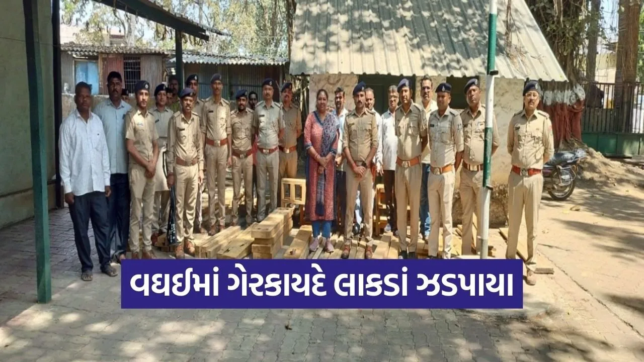 Waghai Illegal Teak Wood Seizure.jpg