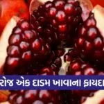 dharmishtha 1 2026 03 06T161745.803