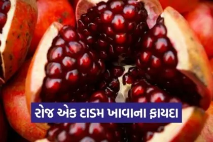 dharmishtha 1 2026 03 06T161745.803