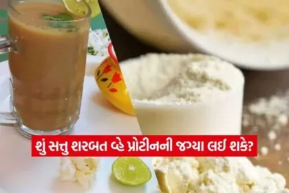 SATTU