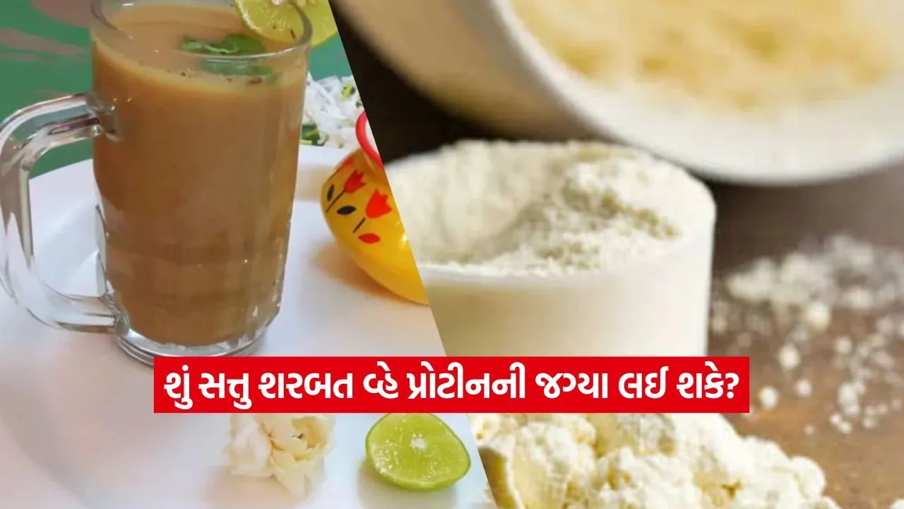 SATTU.jpg