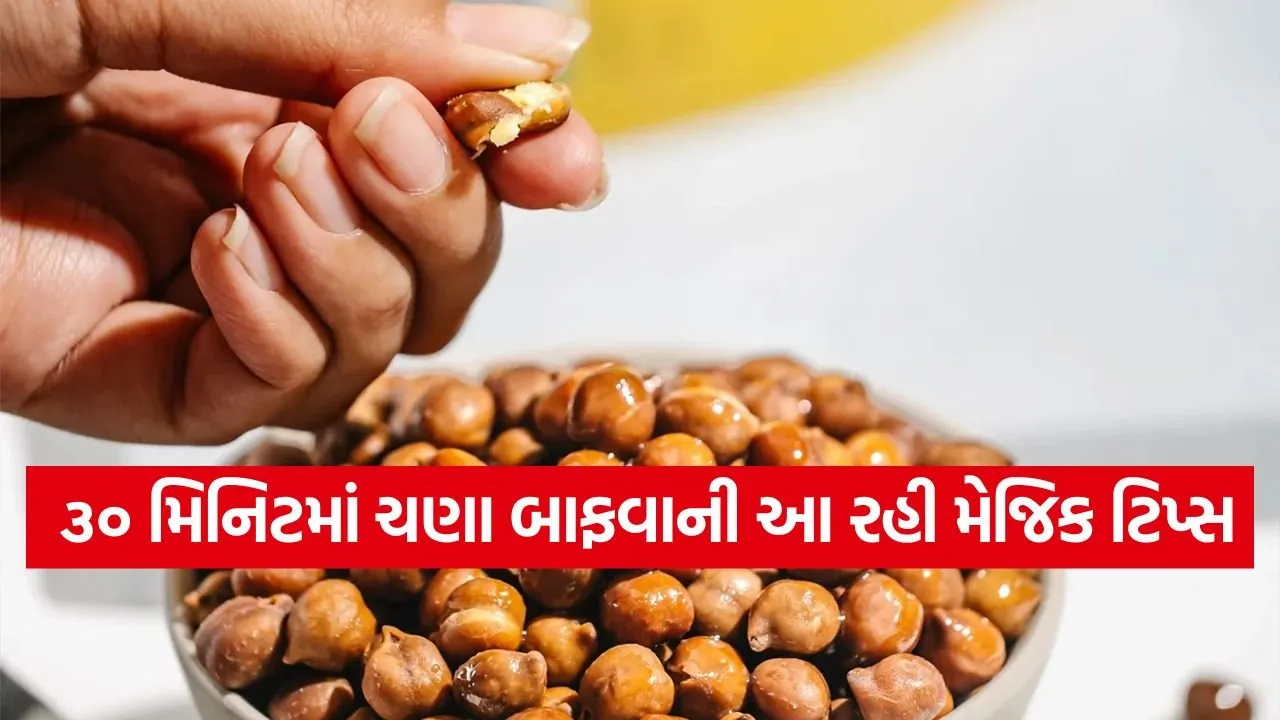 kala chana 0603.jpg