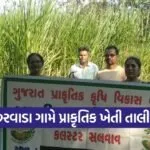 Valsad Charwada Natural Farming Training ATMA Project