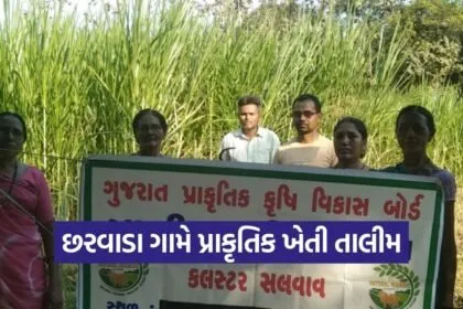 Valsad Charwada Natural Farming Training ATMA Project