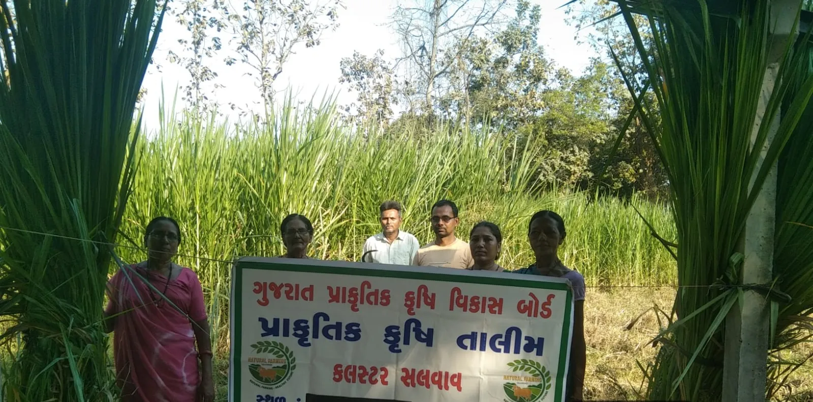 વલસાડના છરવાડા ગામે આત્મા પ્રોજેક્ટ અંતર્ગત પ્રાકૃતિક ખેતી અંગે ખેડૂતોને આપવામાં આવી વિશેષ તાલીમ 2 Valsad Charwada Natural Farming Training ATMA Project.png
